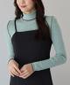 MINT(66)